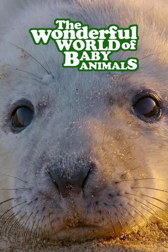 Poster of The Wonderful World of Baby Animals