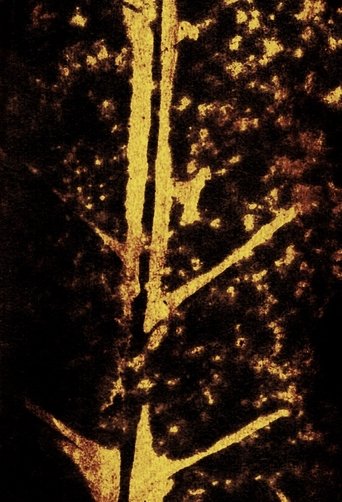 Poster of Deriva amorfológica: bacia de Cubatão