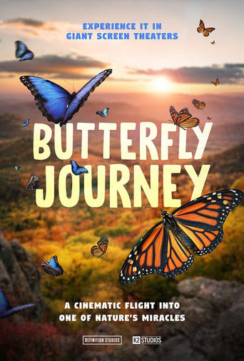 Poster of Butterfly Journey