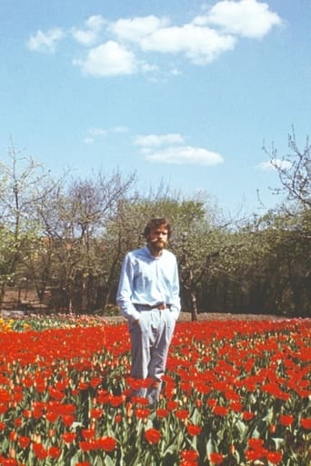 Poster of Tulip Field