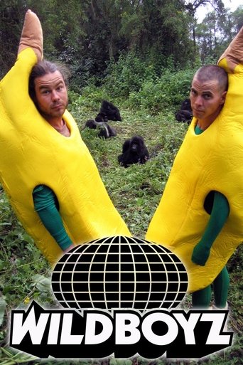 Poster of Wildboyz