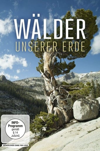 Poster of Wälder unserer Erde