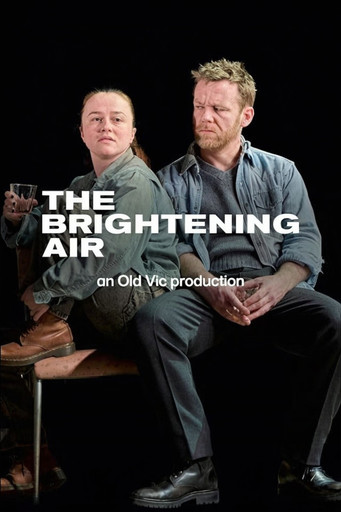 Poster of The Brightening Air