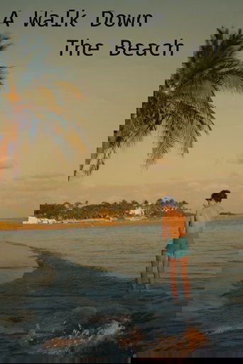 Poster of A Walk Down The Beach