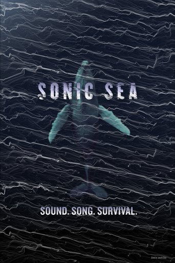 Poster of Sonic Sea