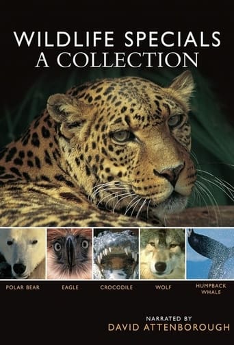 Portrait for Wildlife Specials - The wildlife specials season 1