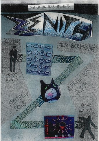 Poster of Zenith