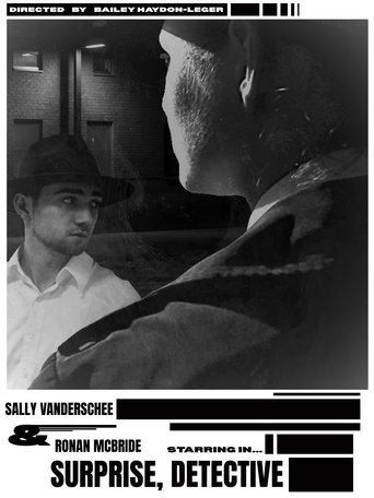 Poster of Surprise Detective