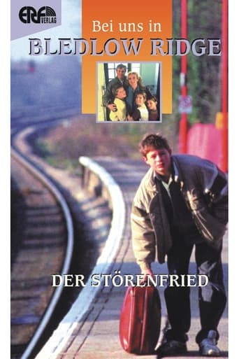 Poster of Der Störenfried