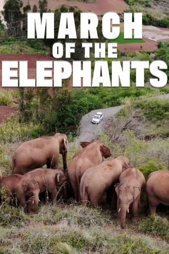 Poster of March of the Elephants