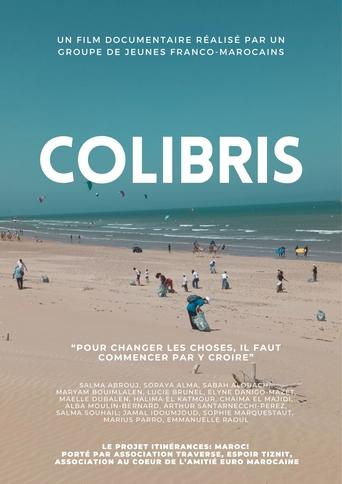 Poster of Colibris