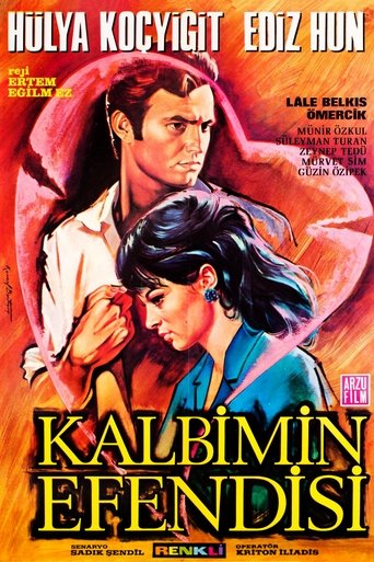 Poster of Kalbimin Efendisi