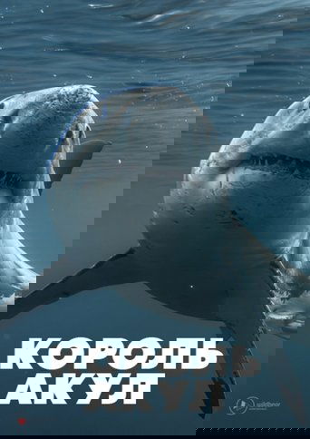 Poster of Boss Shark