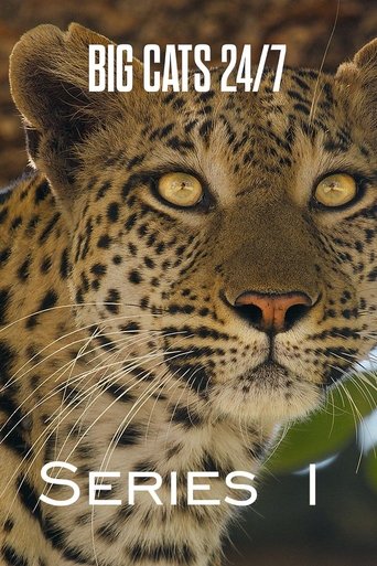 Portrait for Big Cats 24/7 - Series 1