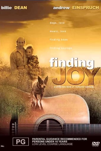 Poster of Finding Joy