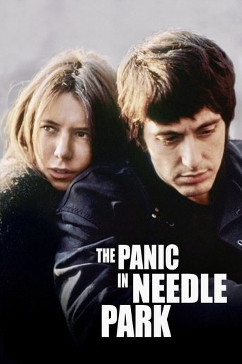 Poster of The Panic in Needle Park