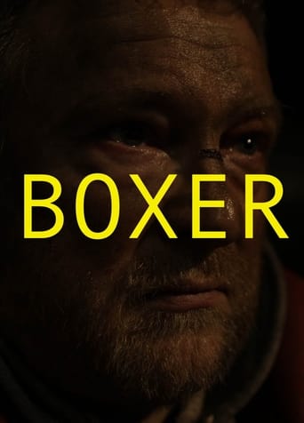 Poster of Boxer