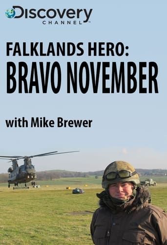 Poster of Falklands Hero: Bravo November