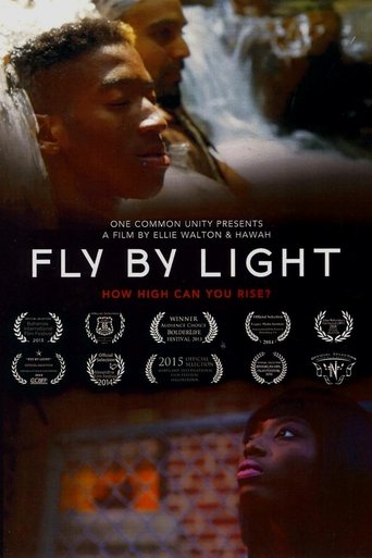 Poster of Fly by Light