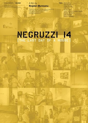 Poster of Negruzzi 14