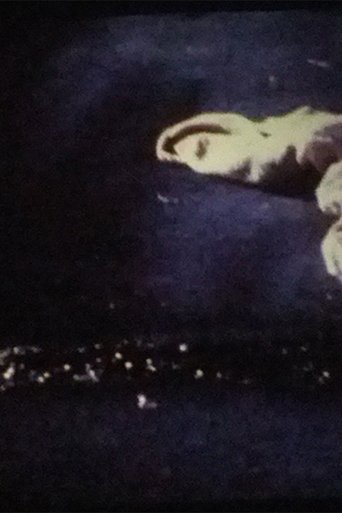 Poster of Trekkerriff