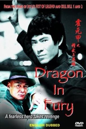 Poster of Dragon in Fury