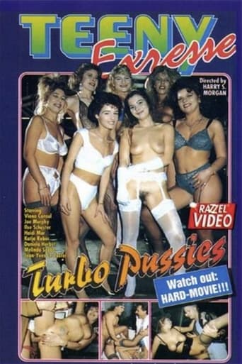 Poster of Teeny Exzesse 23: Turbo Pussies