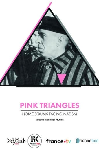 Poster of Pink Triangles, Homosexuals Facing Nazism