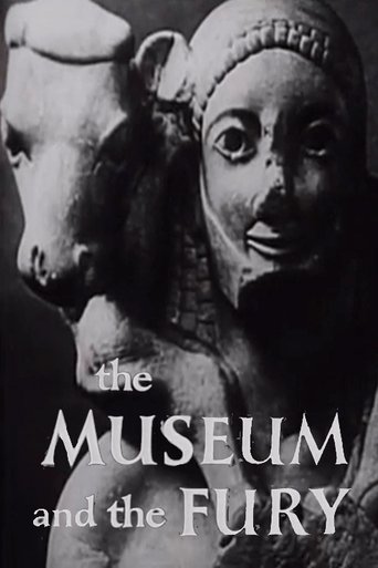 Poster of The Museum and the Fury