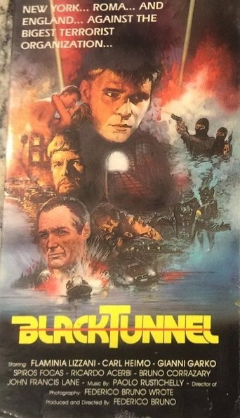 Poster of Black Tunnel