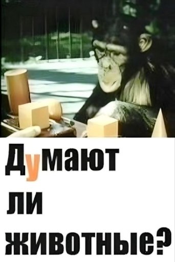 Poster of Do Animals Think?