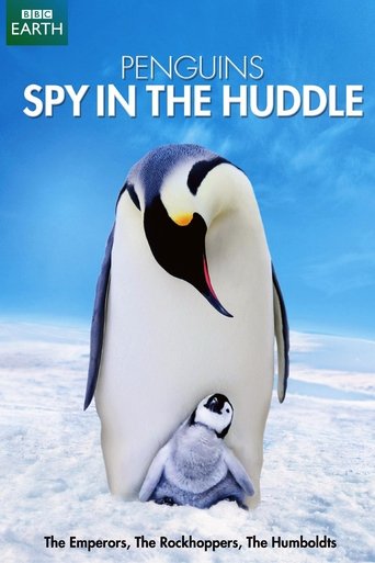Poster of Penguins: Spy in the Huddle
