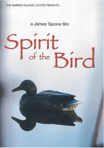Poster of Spirit Of The Bird