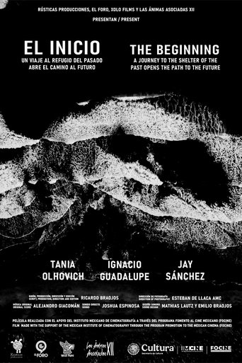 Poster of The Beginning