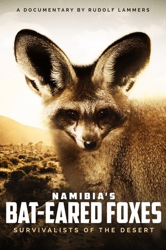 Poster of Namibia's Bat-eared Foxes: Survivalists of the Desert