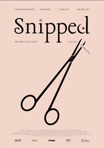 Poster of Snipped