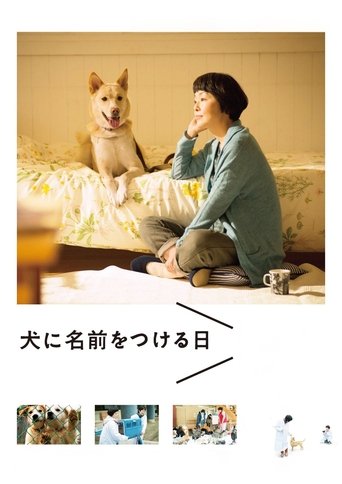 Poster of Dogs Without Names