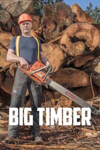 Portrait for Big Timber - Season 1