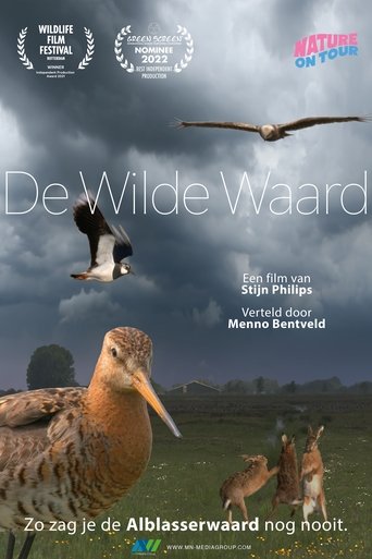 Poster of De wilde waard
