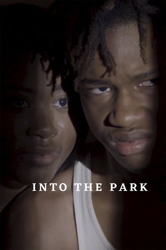 Poster of Into the Park