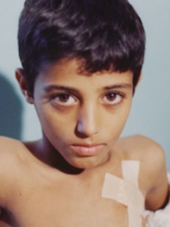 Poster of The Children of Palestine