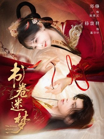Poster of 书卷迷梦