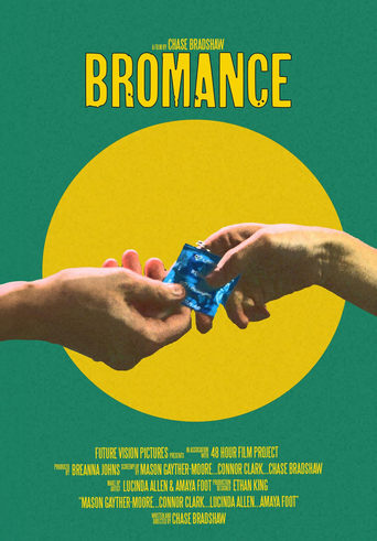 Poster of Bromance