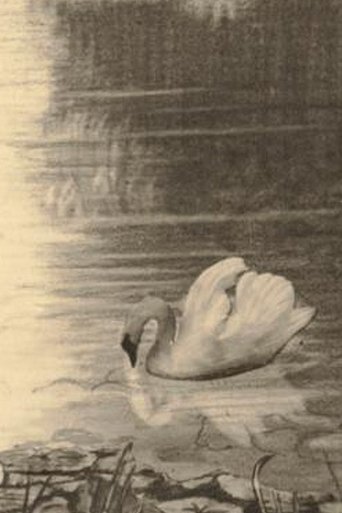 Poster of The Ugly Duckling