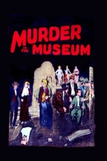 Poster of The Murder in the Museum