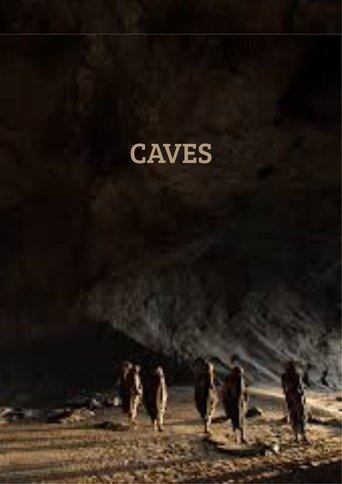 Poster of CAVES