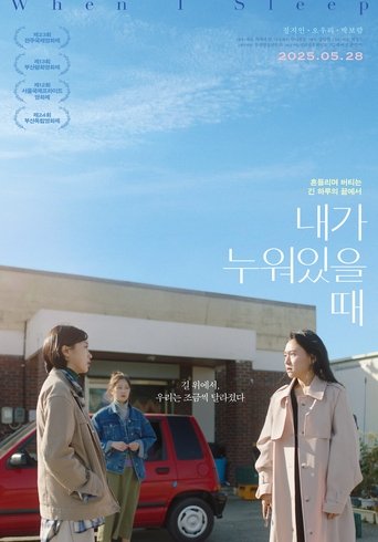 Poster of When I Sleep