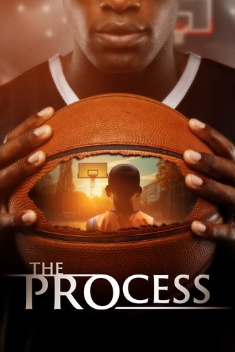 Poster of The PROcess