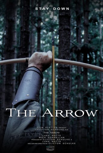 Poster of The Arrow