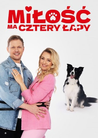 Poster of Miłość ma cztery łapy